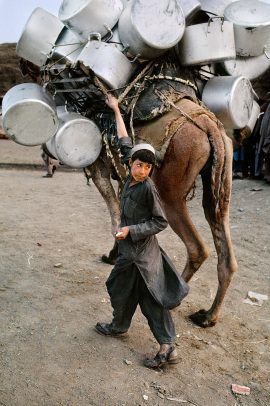 Boy and camel