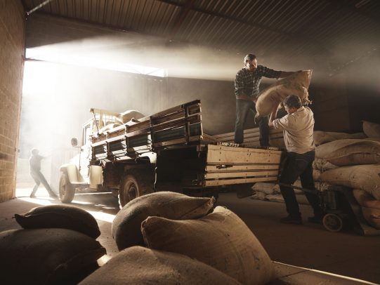 two men loading bags on a 