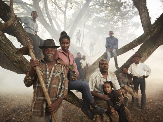 group of coffee workers posing for a photo on the branches a big tree for Lavazza Calendar 2016 by Joey L