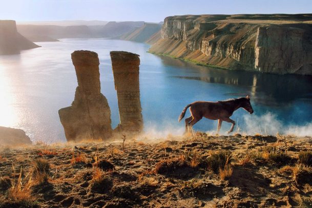 Horse and Two Towers