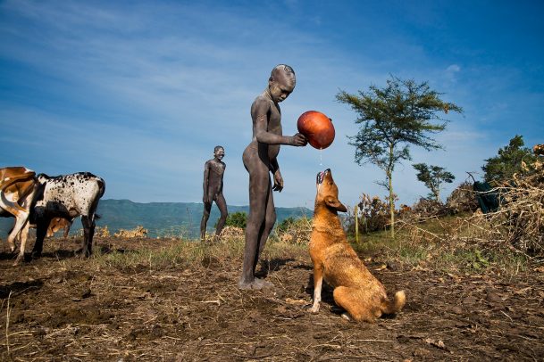 child and his dog