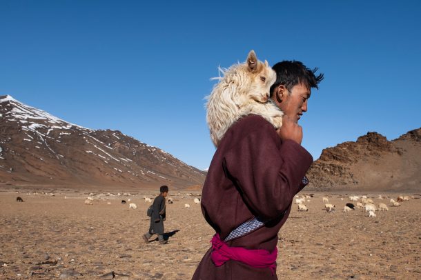 Shepard with a goat on his shoulder