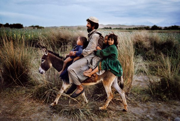 Children and an adult on a donkey