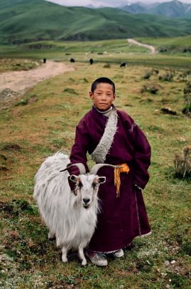 tibetan boy with his goat