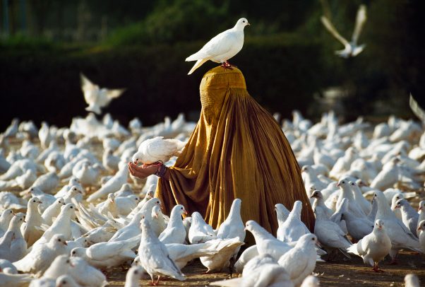 woman with burqa feeding doves