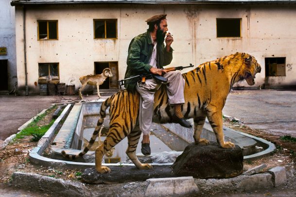 man on a tiger
