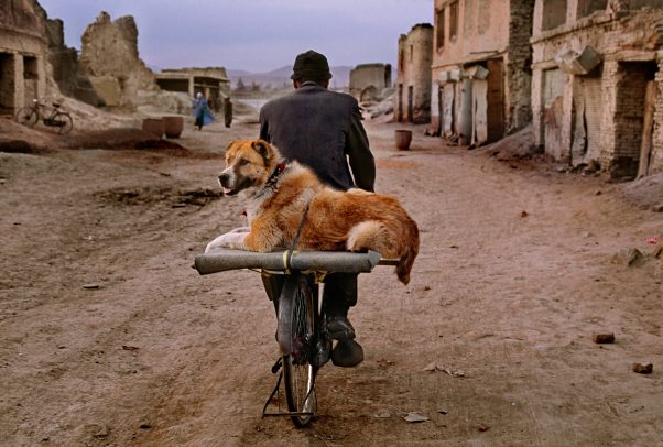 man riding a bike with his dog