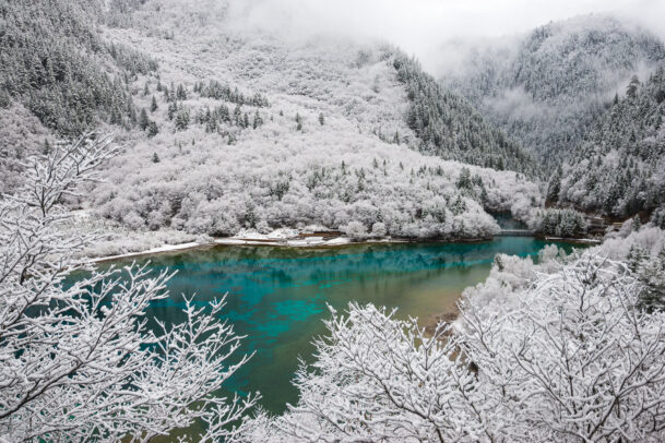 snow landscape by michael yamashita