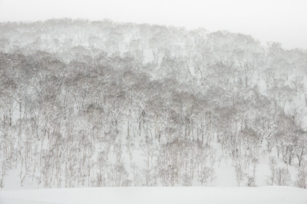 snow landscape by michael yamashita