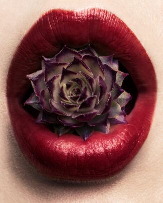 lips close up
