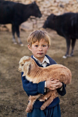 A hazara young boy holds a goat in his arms