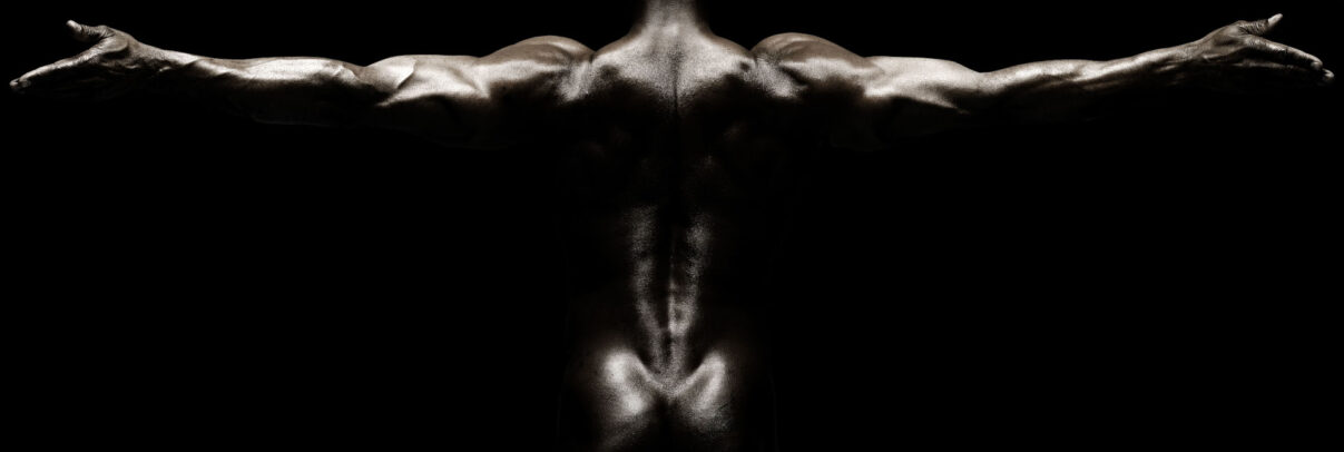 back study by howard schatz