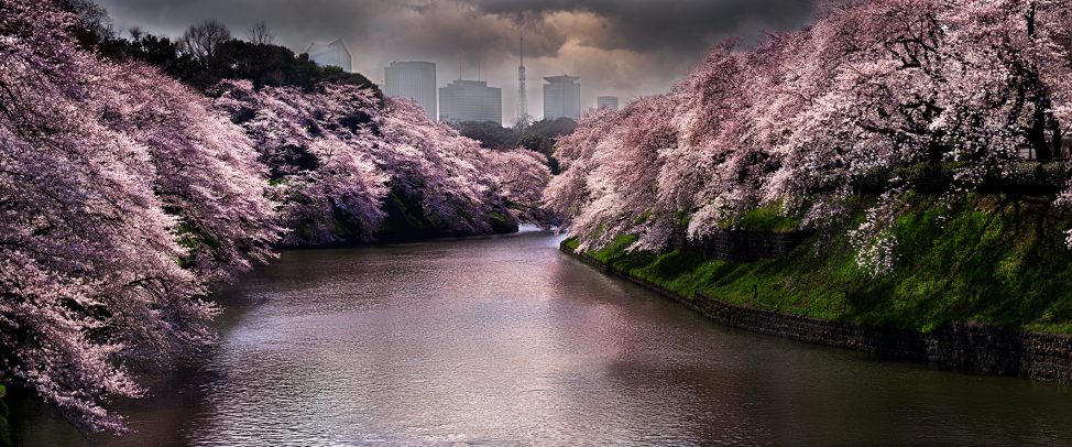 river with 