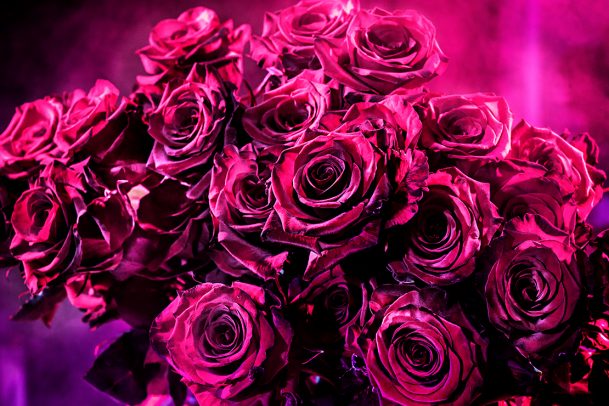 a bunch of pink roses