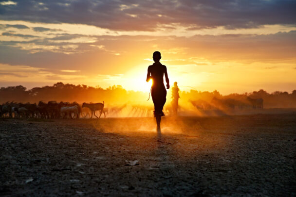 children running at sunset
