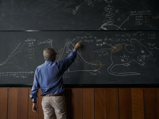 a professor at 