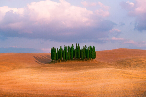 hill with cypress trees in Tuscany country