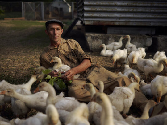 Joey L Corteva Agriscience 