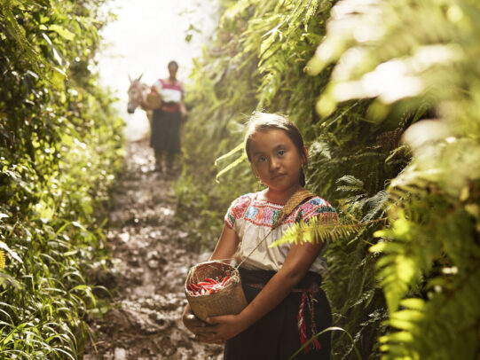 A girl holding a little basket full of coffee beans in a plantation for Lavazza Calendar 2016 by Joey L