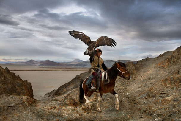 mongolian man riding a horse with a hawk on his arm in the desert
