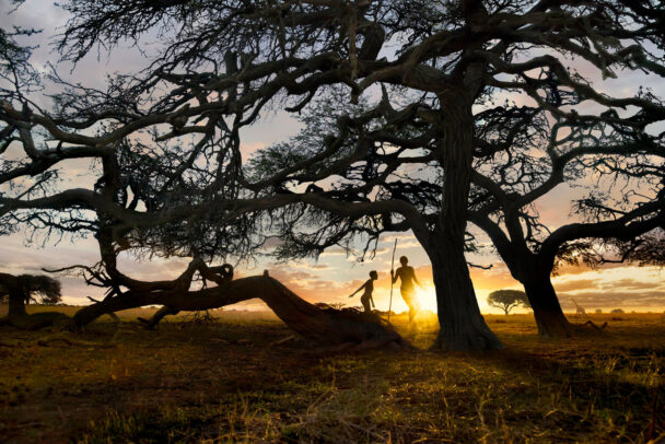 Silhouette of Men During Sunset