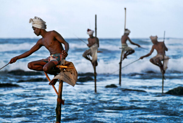 men fishing on sticks