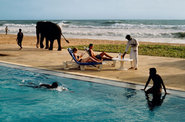 tourist lounge poolside as elephant passes in Sri Lanka