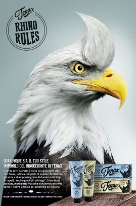 aquila con ciuffo