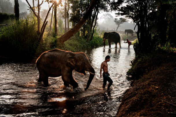 Boy and elephant crossing stream