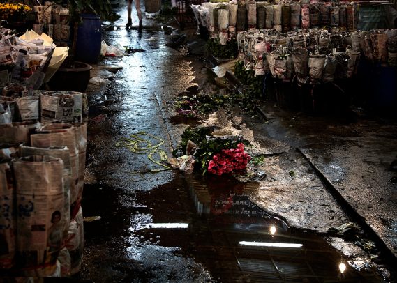 night street with a bunch of flowers on the ground