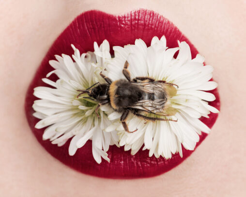 susi belianska missmylips 13