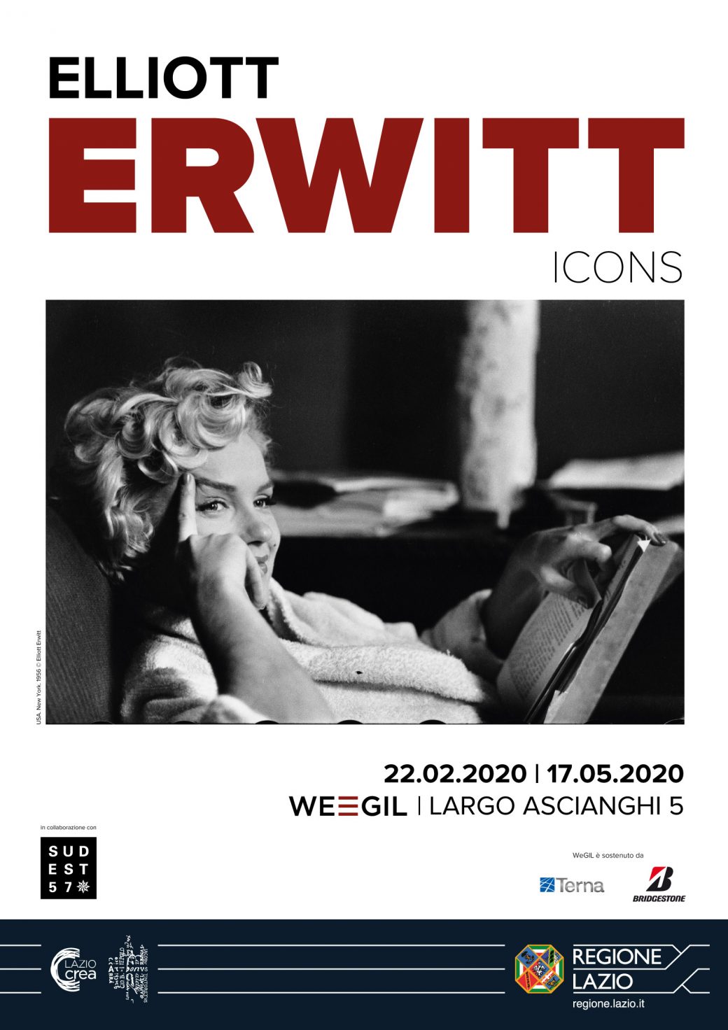 locandina wegil erwitt