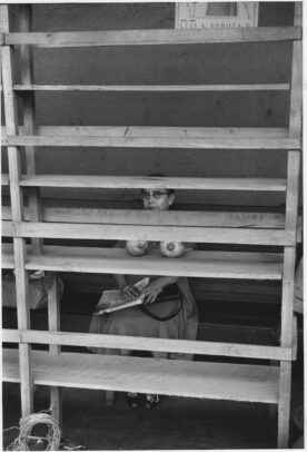 woman behind a shelf with two fruits
