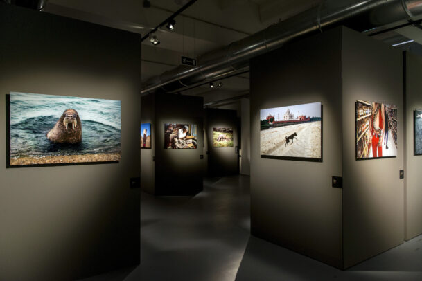 McCurry Animals MUDEC Installation