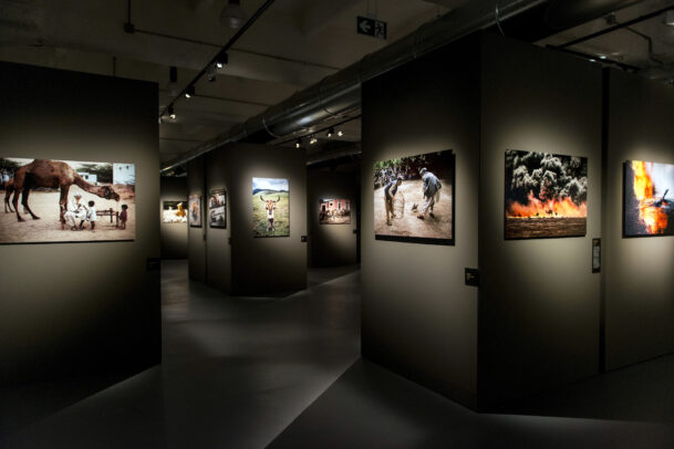 McCurry Animals MUDEC Installation