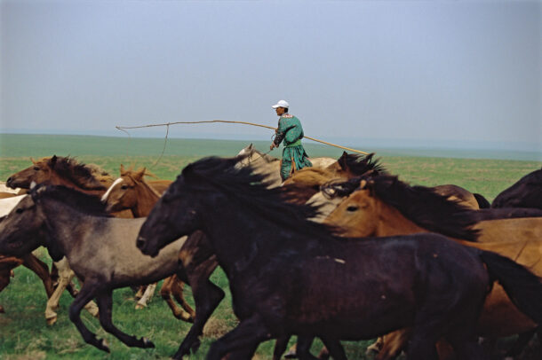 mongolian man 