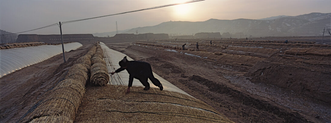 a farmer unrolls insulation mats on the roof of a hothouse 