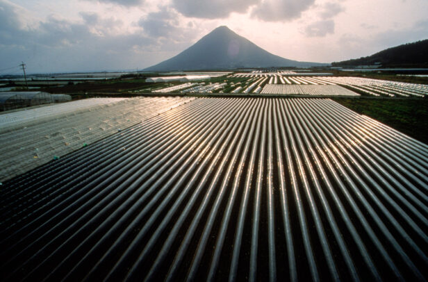 hothouse of rice in Japan