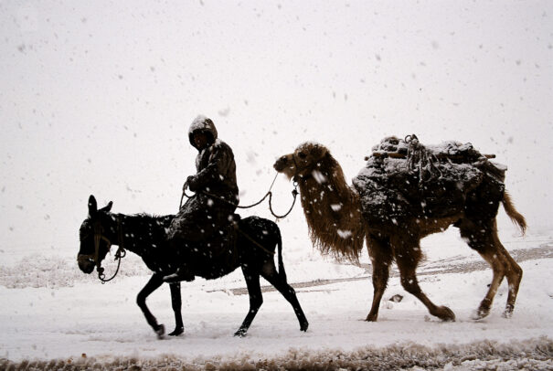 man on a donkey followed by camel in a snowy weather