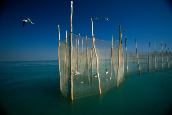 Traditional fishing in the Strait of Hormuz