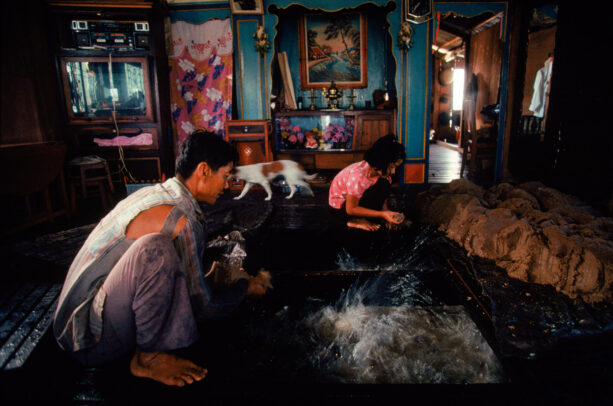 fish farming in the home