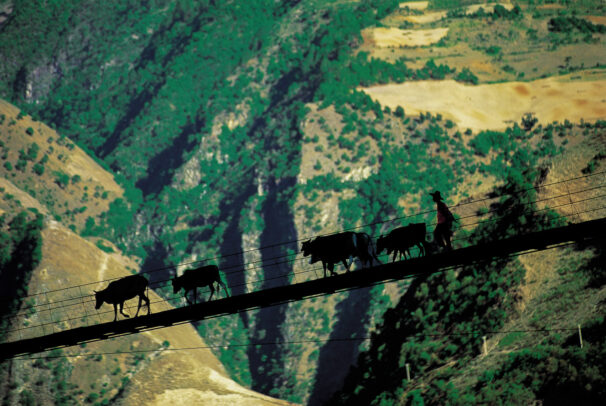 silhouette of man crossing gorge