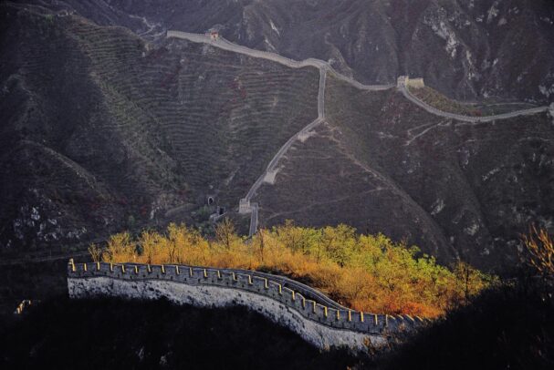 autumn leaves next to the great wall of Badaling