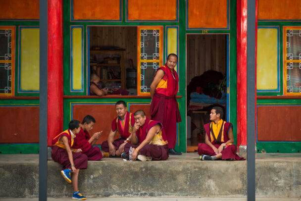 tibetan modern monks at the monastery