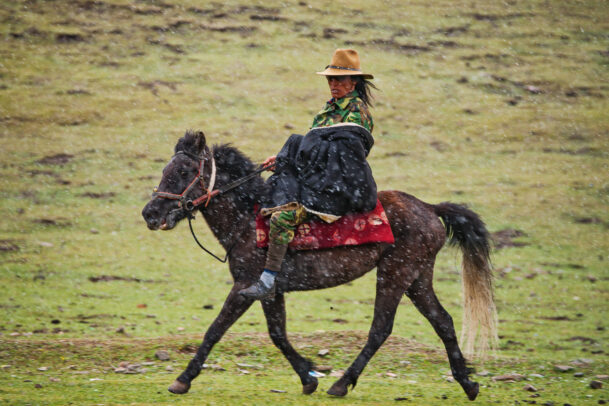 tibetan nomad and his horse