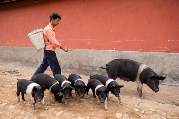 man walking on the street with his sow and family