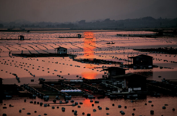 Sunset reflected in oyster beds off Xiamen