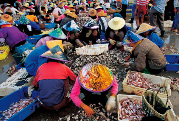 fish market in asia
