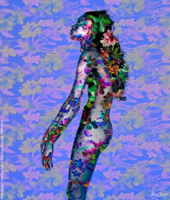 Howard Schatz Body