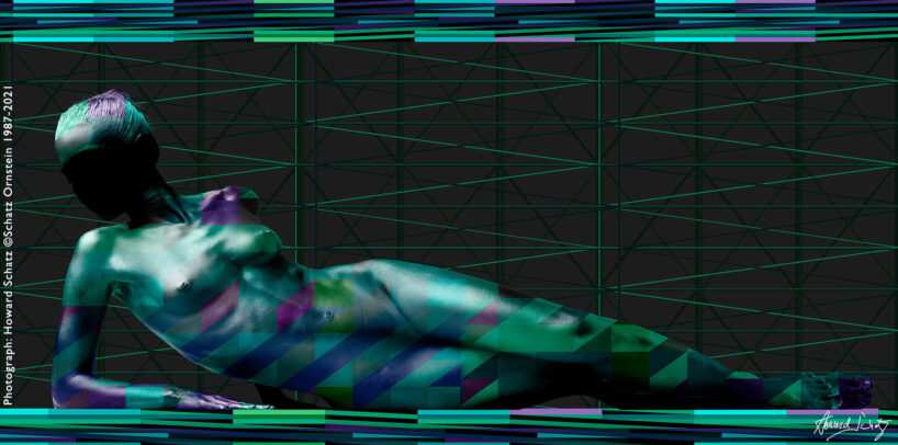 Howard Schatz Body